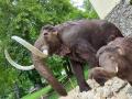WhatsApp-Bild-2024-06-12-um-19.24.12_e961ae45